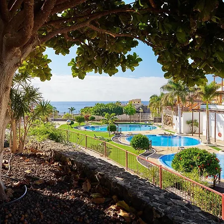 Amarilla Daire San Miguel de Abona